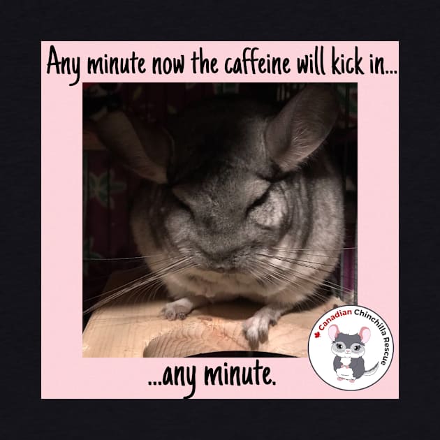 Chinchilla Thoughts by canchinrescue